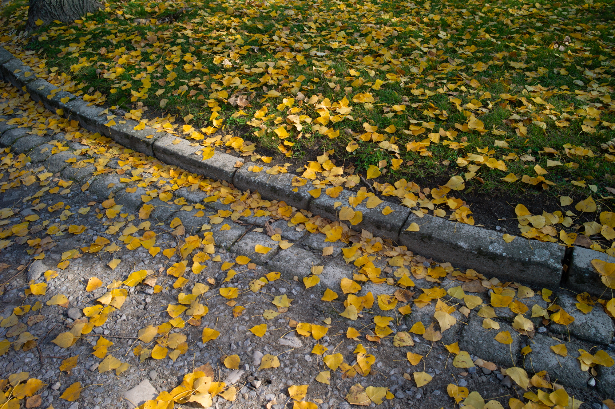 Visite 2025 (photos: T2G)